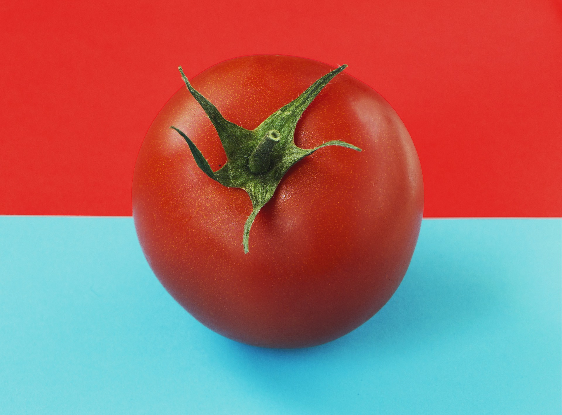 un pomodoro blu