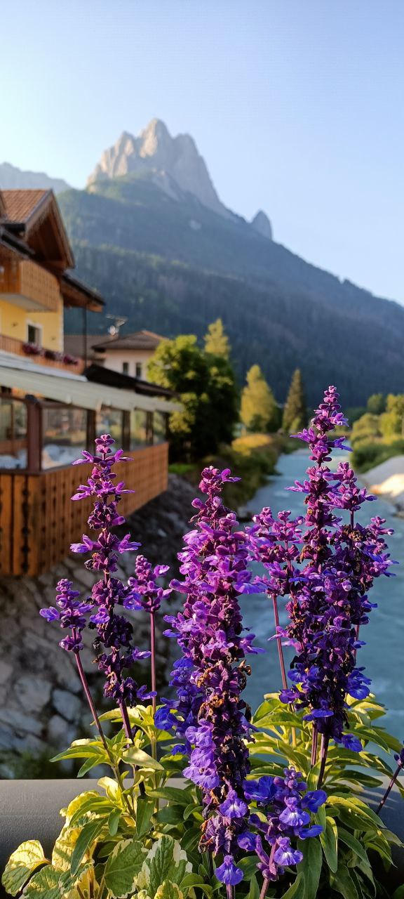 Diario di viaggio in val di Fassa